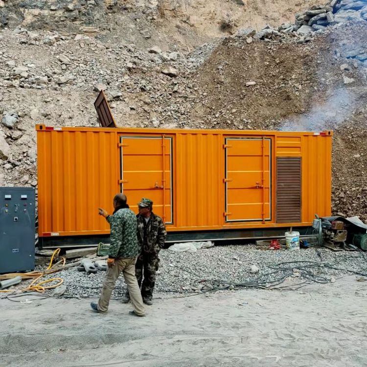 新余如何选择适合自己的 800KW 柴油发电机组?